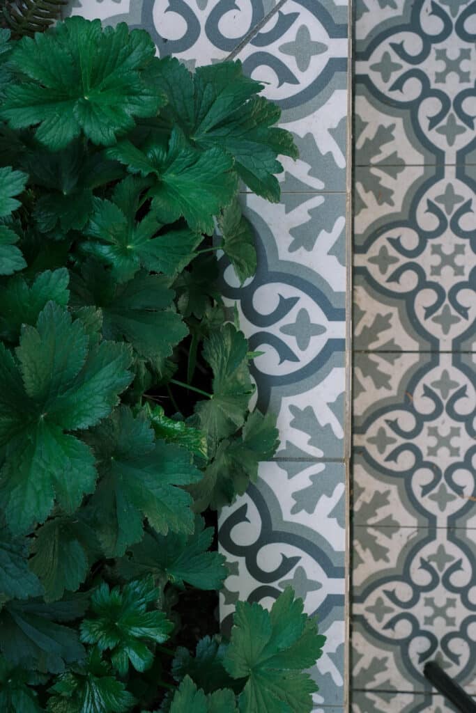 Garden Design Somerset landscapers somerset landscaping somerset, landscape gardeners